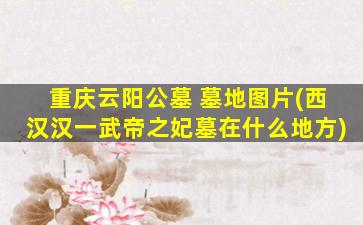 重庆云阳公墓 墓地图片(西汉汉一武帝之妃墓在什么地方)